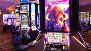 gold bet